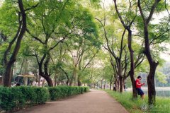 广西大学校园林荫小道